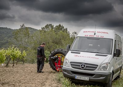 Assistència en el camp